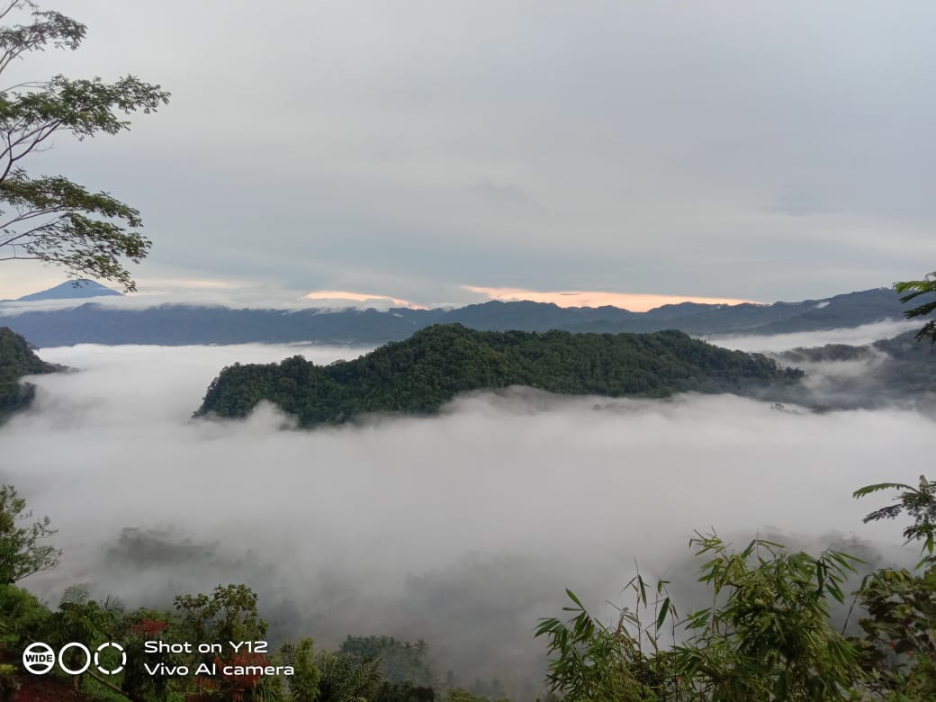 Puncak Bangku: Menikmati Negeri di Atas Awan Tanpa Harus Mendaki Gunung
